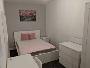 Professional-2